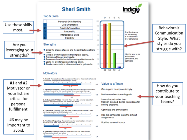 indigo sample report page image