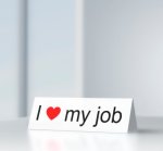 I love my job