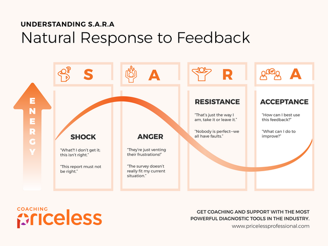 SARA Feedback Model