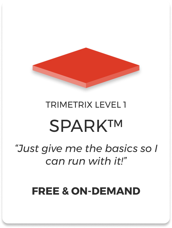 trimetrix-spark-level-1-training.png