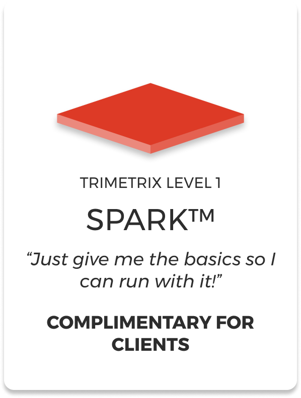 trimetrix-spark-level-1-training.png